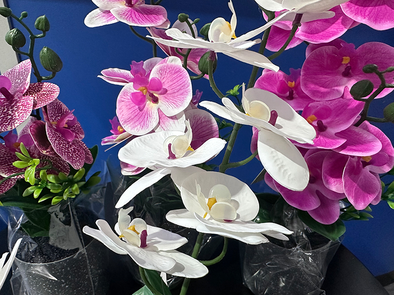 Künstliche Orchidee - zum Schließen ins Bild klicken