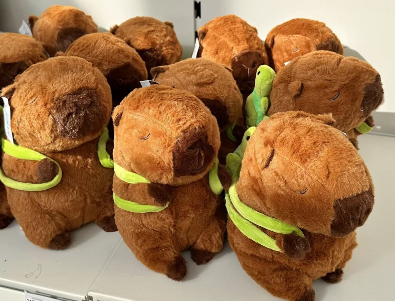 Plüsch Capybara mit Schildkröte 20cm